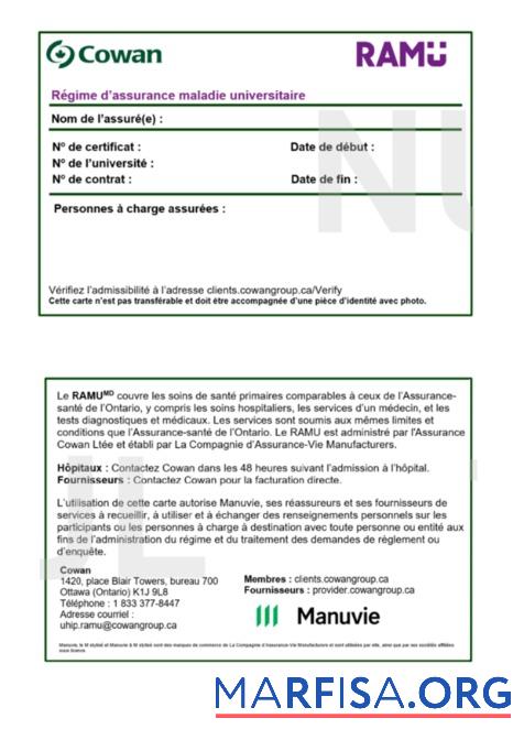 Blank Burkina Faso health insurance card sample